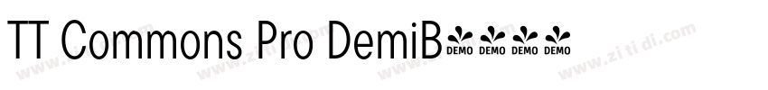 TT Commons Pro DemiB字体转换